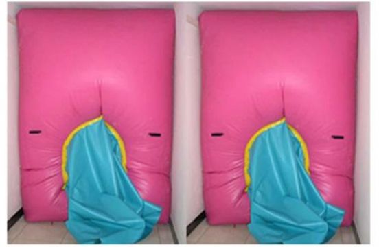 點擊查看詳細信息<br>標題：快速封堵氣囊 閱讀次數(shù)：2756