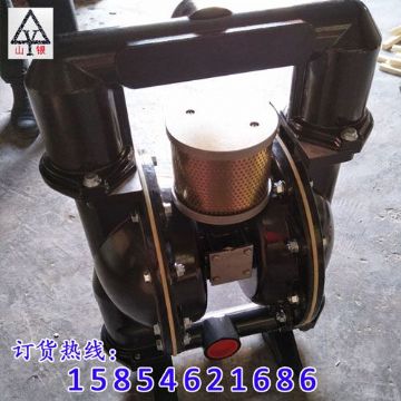 點擊查看詳細信息<br>標(biāo)題：隔膜泵|氣動隔膜泵|電動隔膜泵 閱讀次數(shù)：1611