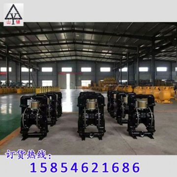 點擊查看詳細信息<br>標(biāo)題：隔膜泵_氣動隔膜泵_隔膜泵價格_隔膜泵 閱讀次數(shù)：1900