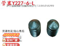 點擊查看詳細(xì)信息<br>標(biāo)題：英格索蘭隔膜泵配件管塞Y227-6-L 閱讀次數(shù)：366