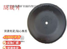點擊查看詳細信息<br>標題：氣動隔膜泵配件-隔膜片 閱讀次數：291
