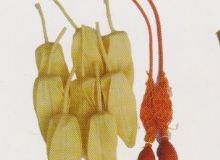 點(diǎn)擊查看詳細(xì)信息<br>標(biāo)題：取氣樣球膽 閱讀次數(shù)：241